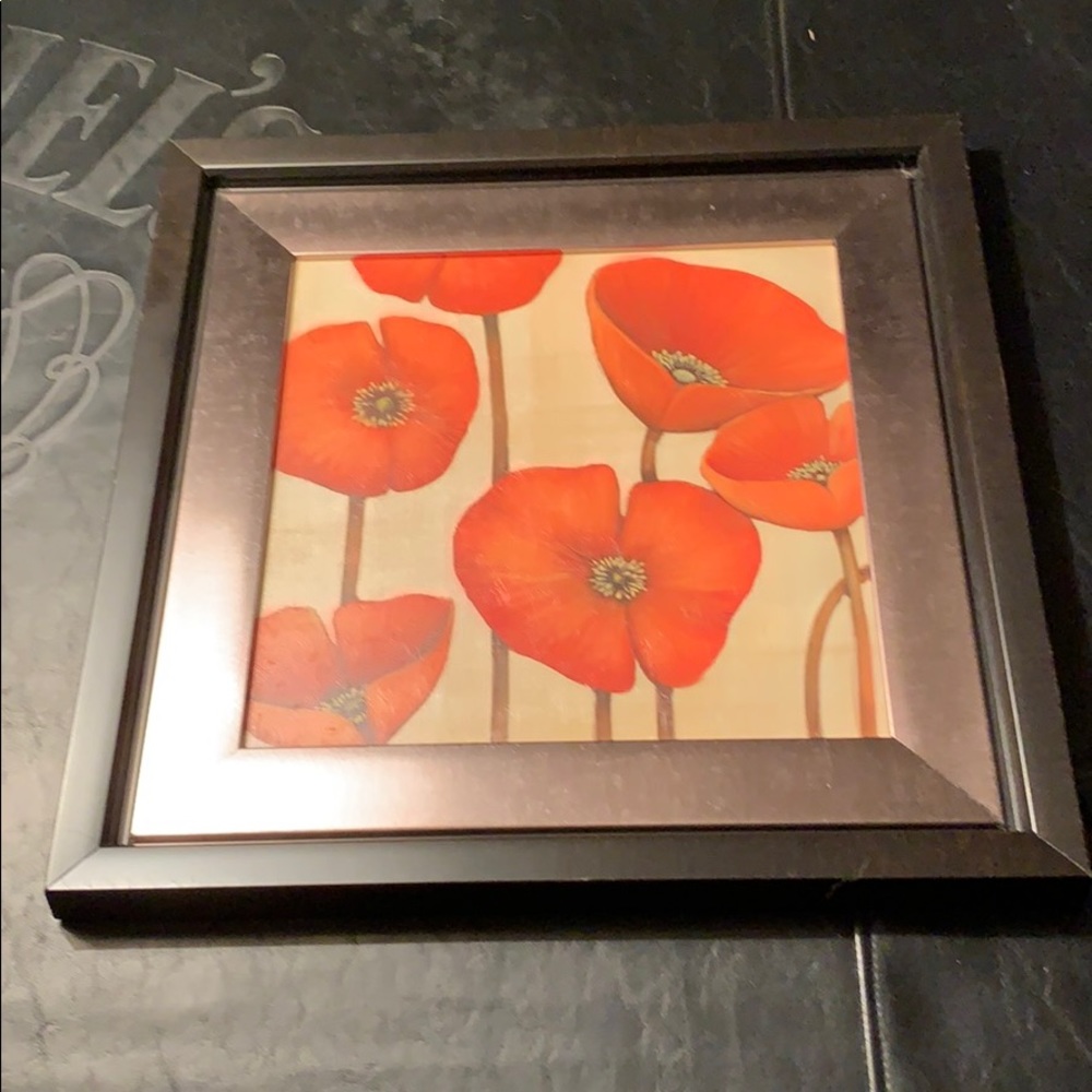 Beautiful Poppy Picture, looks fantastic anywhere! - Picture 1 of 4